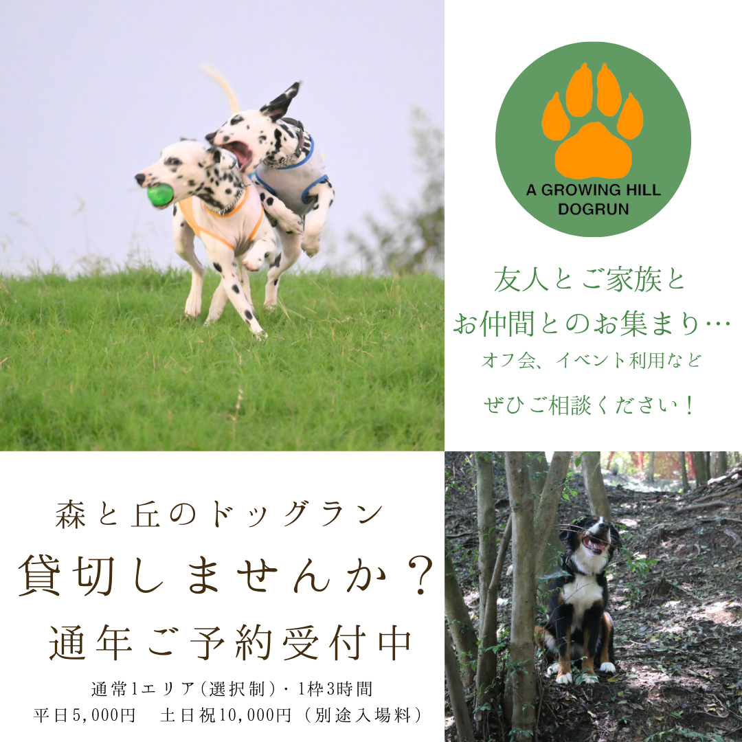 A　Growing　Hill　ドッグラン