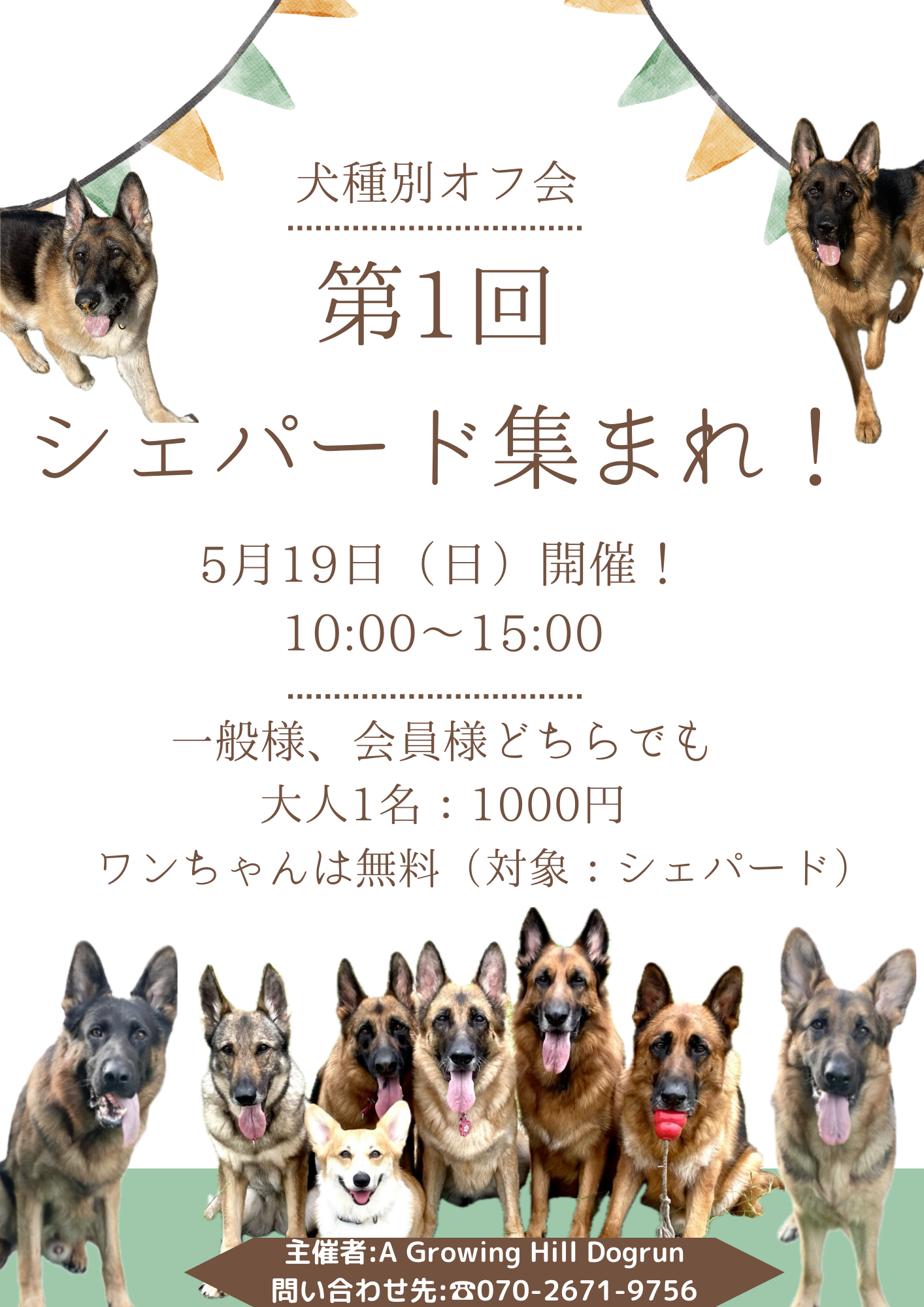 A Growing Hill Dogrun ドッグラン オフ会