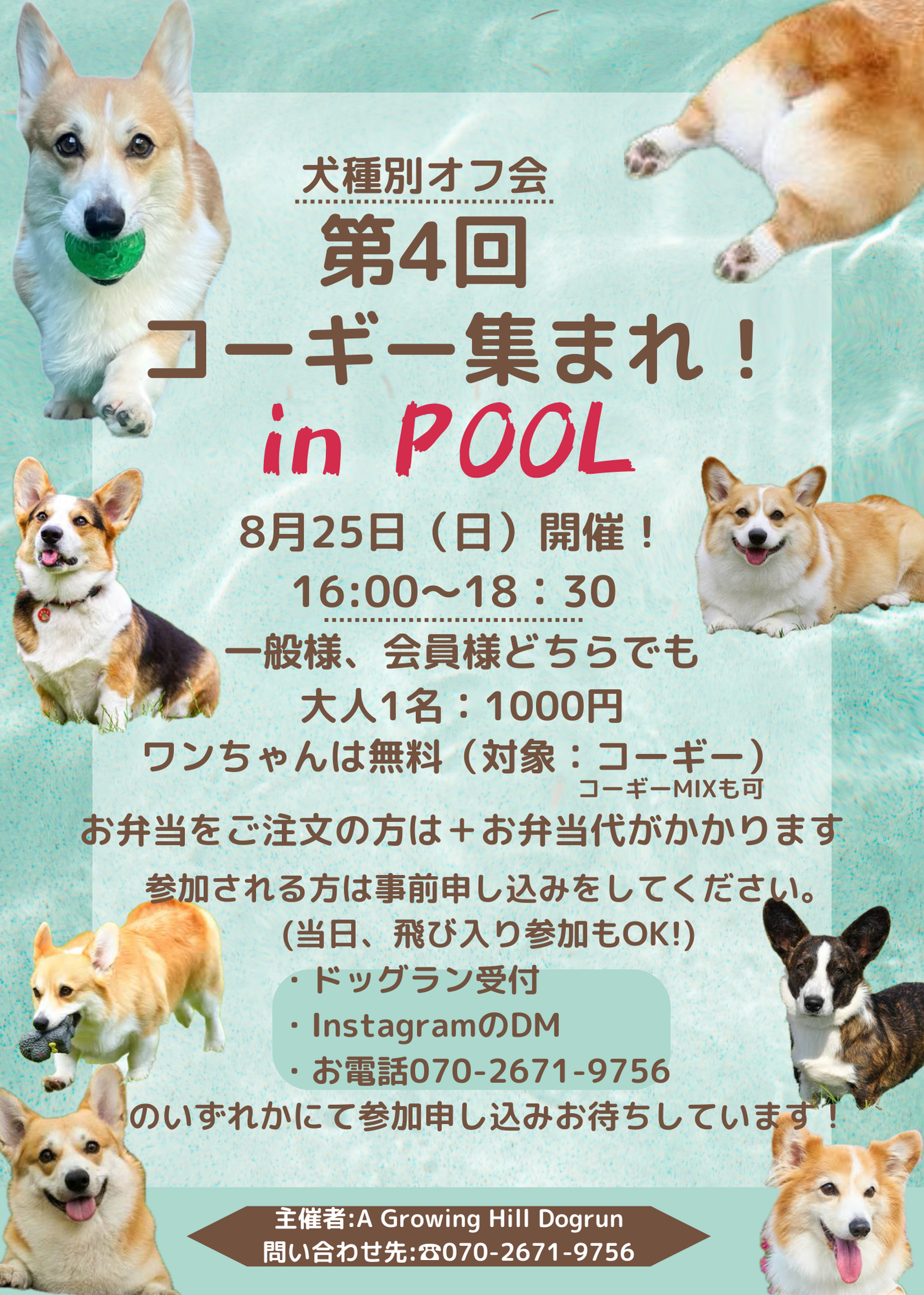 A Growing Hill Dogrun ドッグラン オフ会