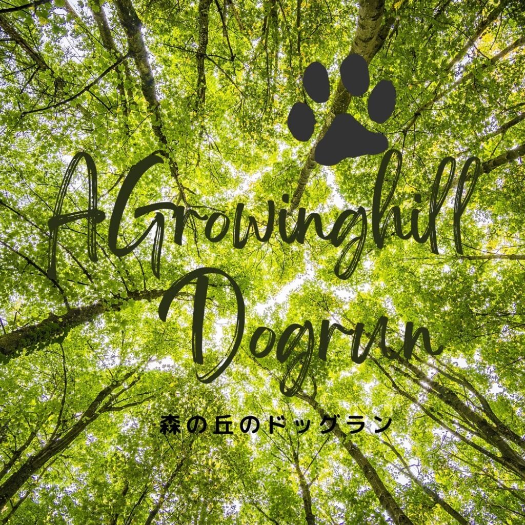 A Growing Hill Dogrun ドッグラン へのアクセス