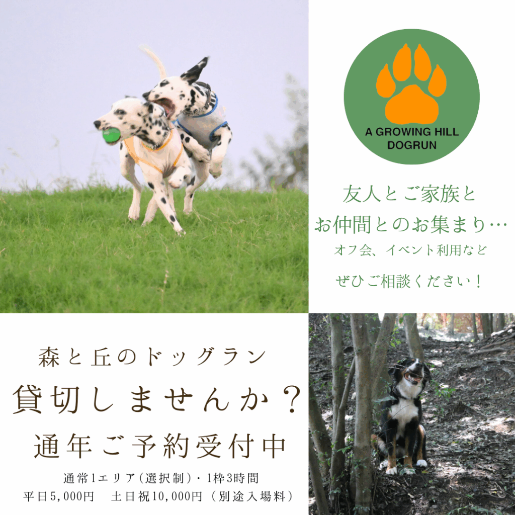 A Growing Hill Dogrun ドッグラン の貸切予約