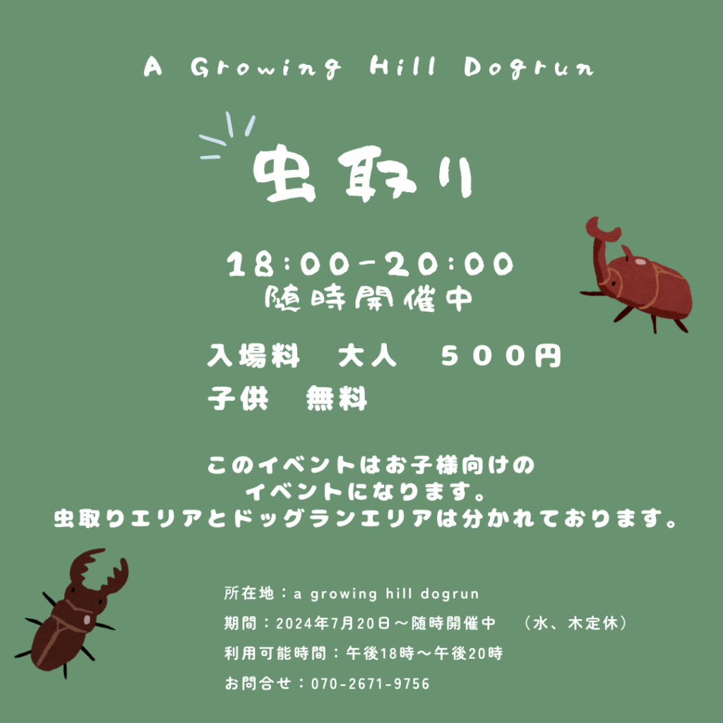 A Growing Hill Dogrun ドッグラン の虫取り企画