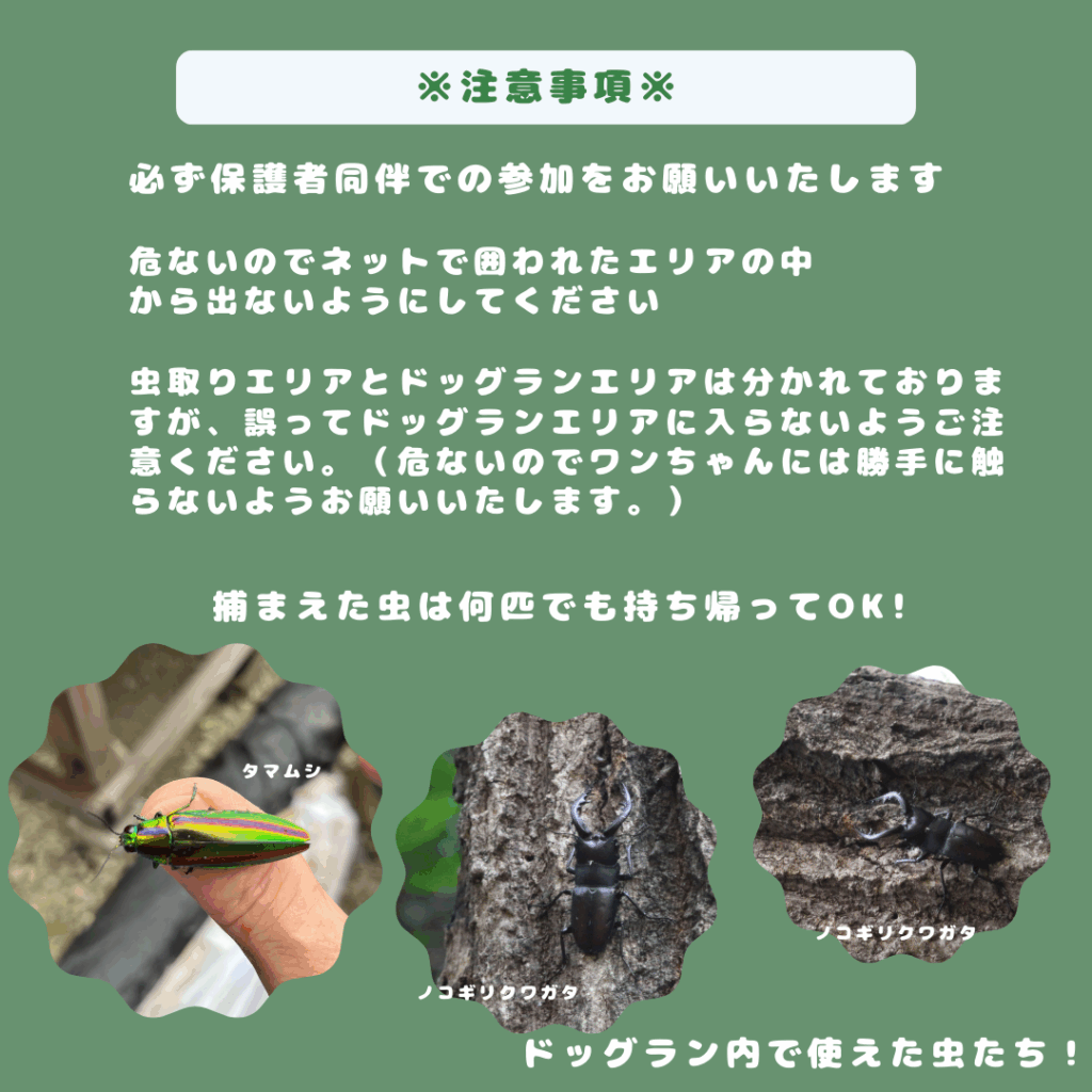 A Growing Hill Dogrun ドッグラン の虫取り企画