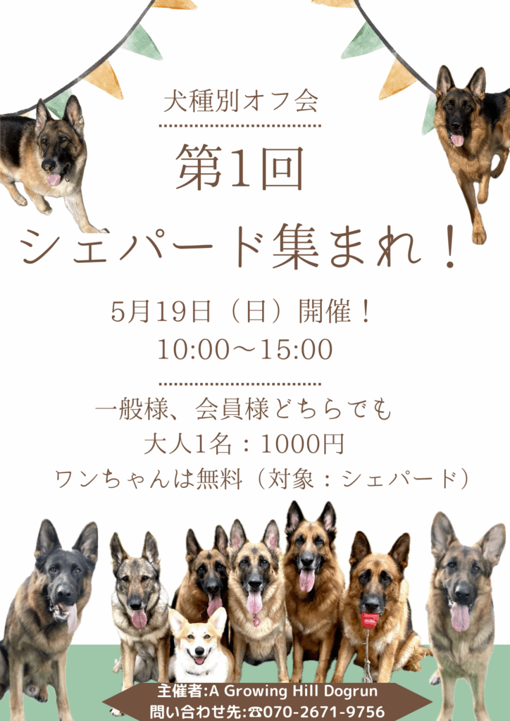 A Growing Hill Dogrun ドッグラン のオフ会