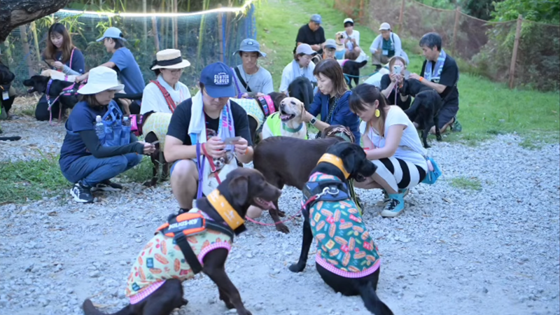 A Growing Hill Dogrun ドッグランのオフ会